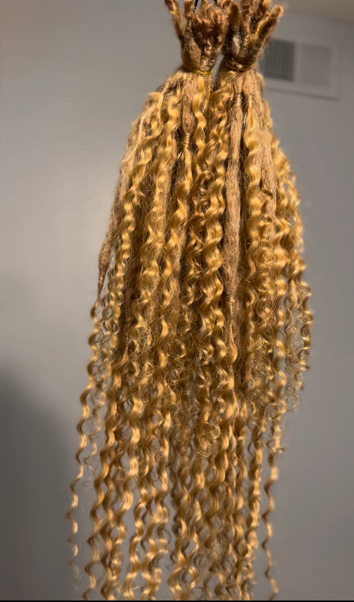 Gypsy Locs 2.0