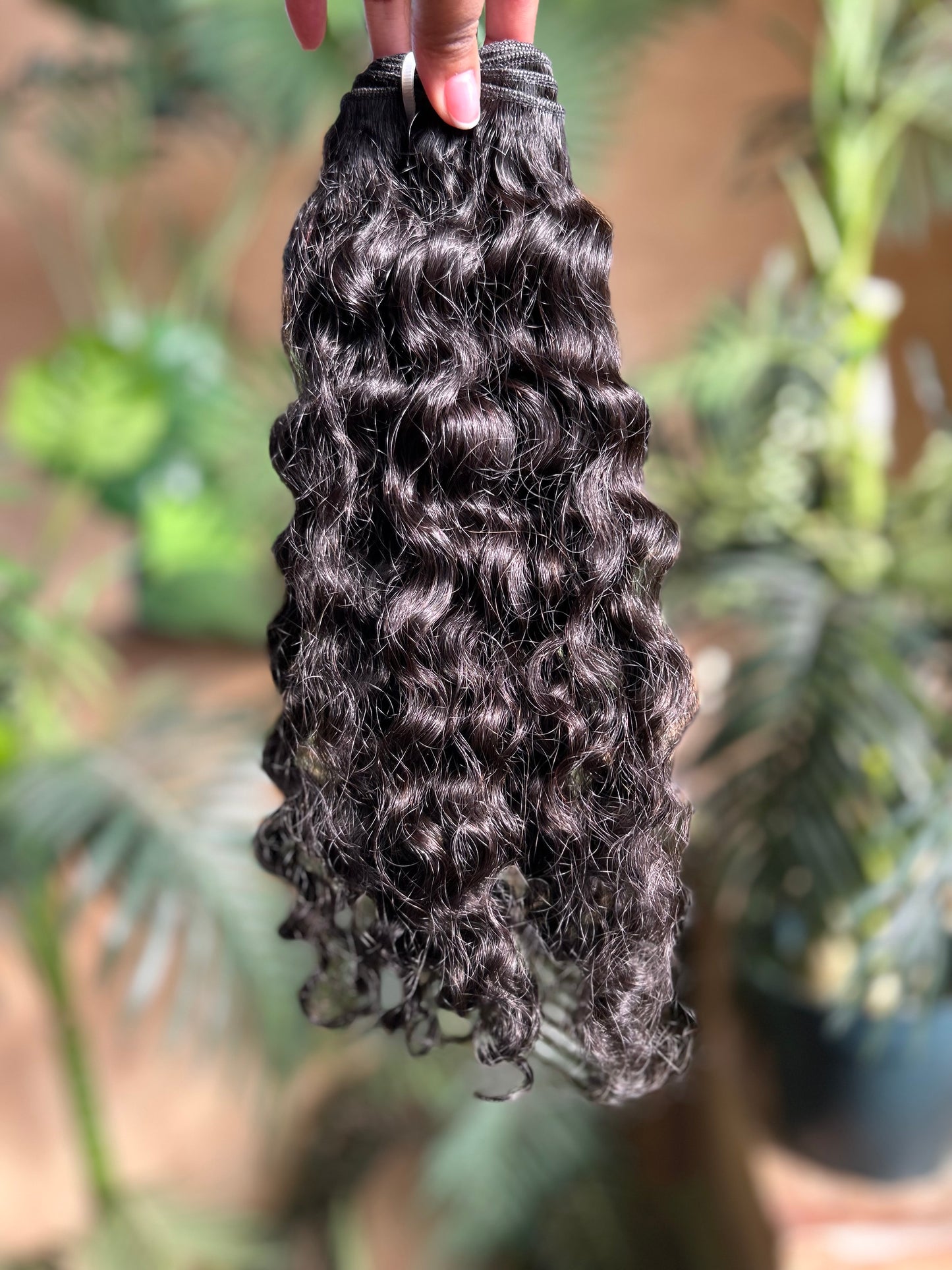 Raw Burmese Curly