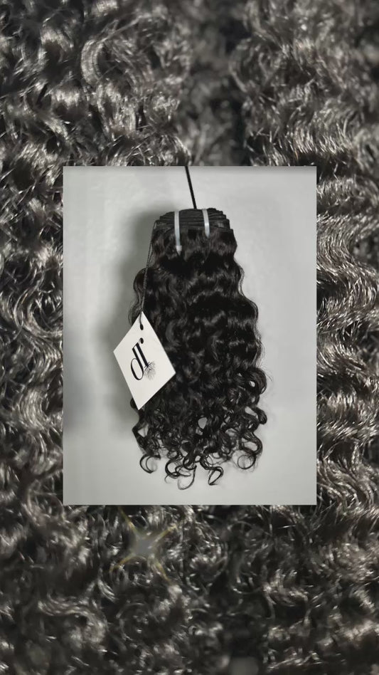Raw Burmese Curly